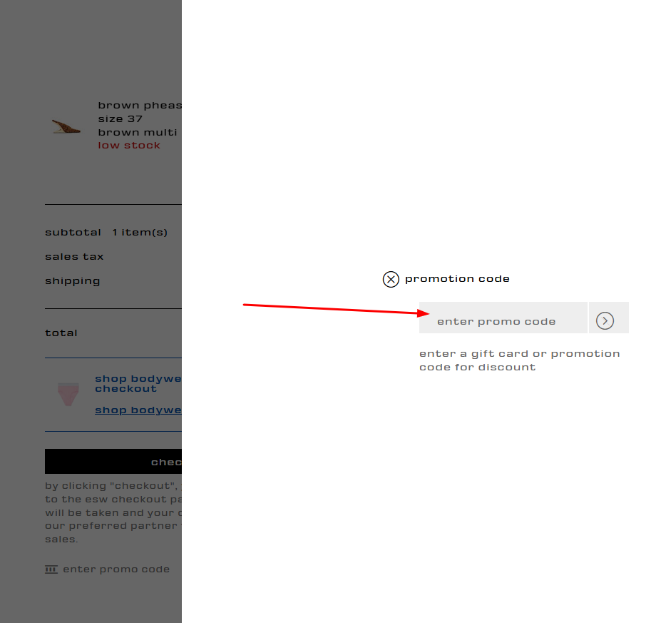 How To Use an Alexander Wang Promo Code